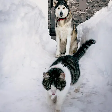 Herzensplatz Am Hochkoenig Appartement Mühlbach am Hochkönig